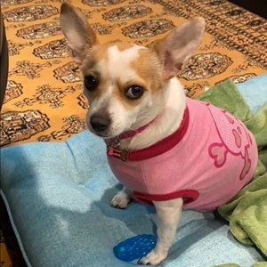 Meet your Posher, Natalie